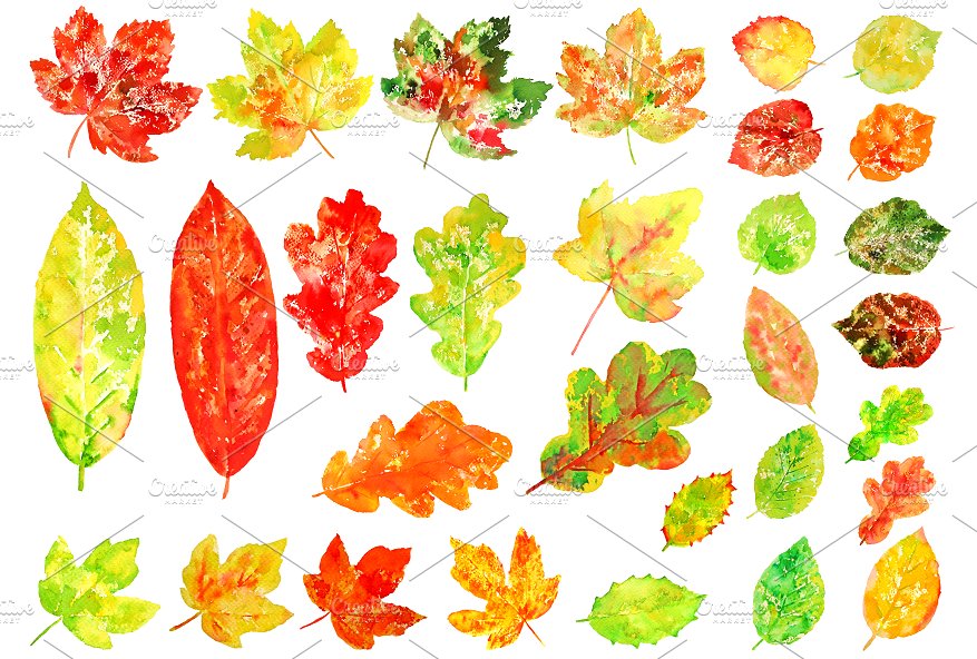 水彩多彩树叶剪贴画 Watercolor Colorful Leaves Clipart插图