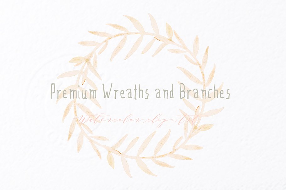高级花环剪枝水彩剪贴画 Premium wreaths and branches clipart插图(3)