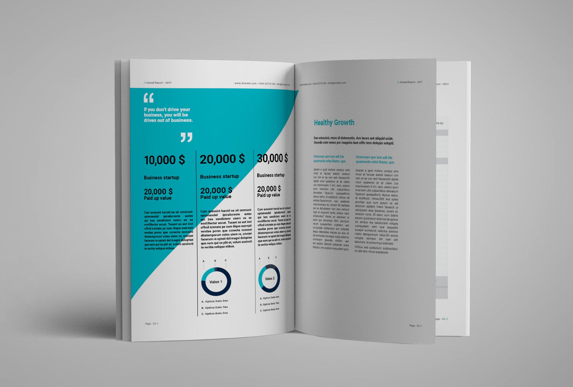 2019年优秀企业年度报告/企业年报设计模板 Report Brochure插图(10)