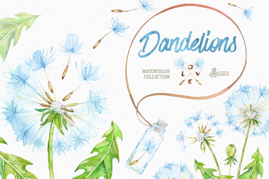 柠檬黄手绘水彩花卉插画 Dandelions. Floral Collection插图(3)