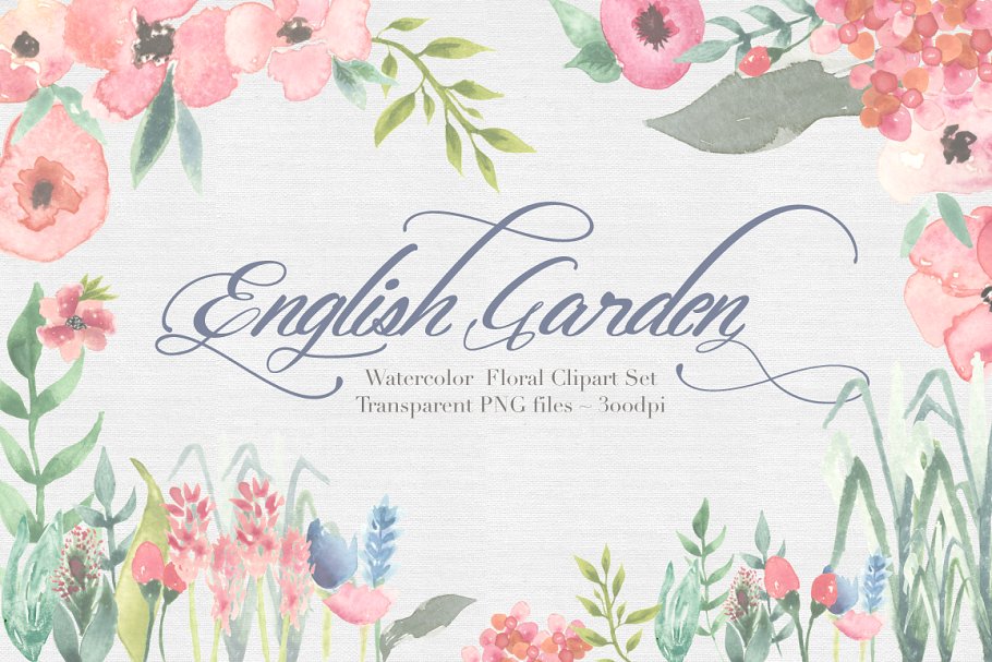 英伦花园花卉水彩剪贴画 English Garden Watercolor clipart插图