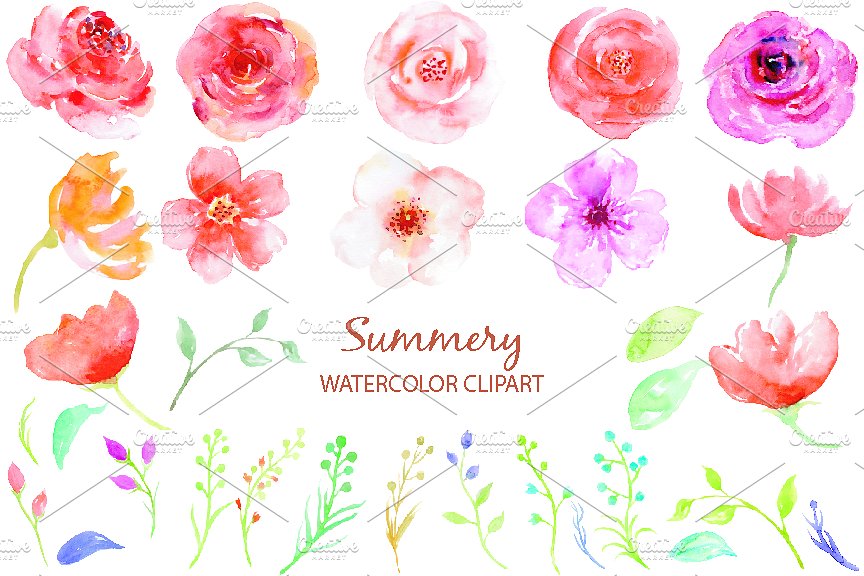 夏日鲜花，玫瑰，树叶和装饰元素水彩剪贴画 Watercolor Clipart Summery插图(1)