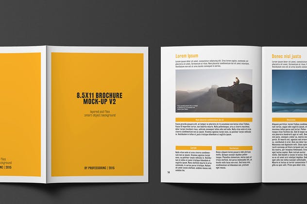 企业商务画册/目录样机 8.5×11 Brochure / Catalogue Mock-up插图(6)