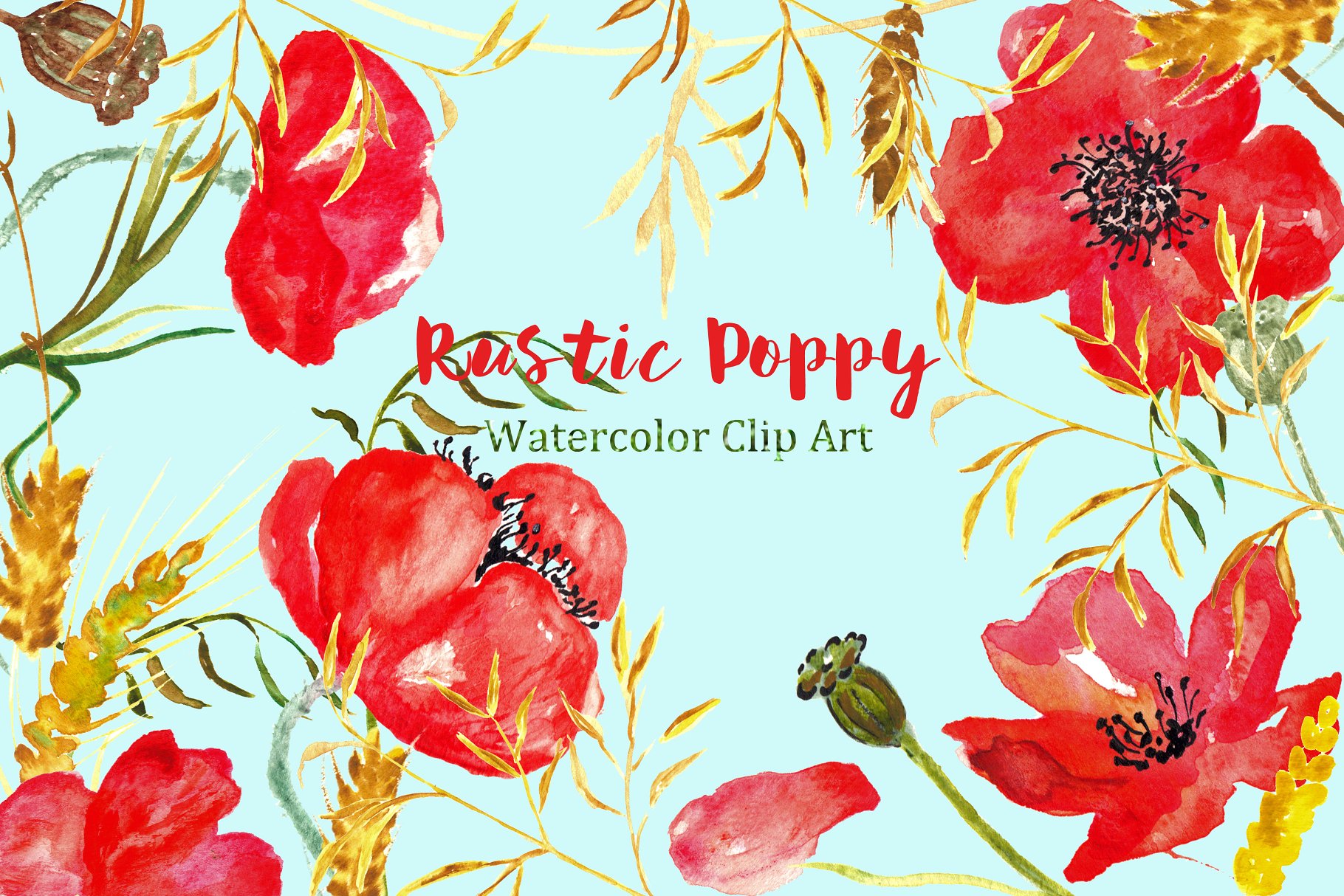 夏季乡村浪漫罂粟剪贴画 Ructic Poppy watercolor Clipart插图