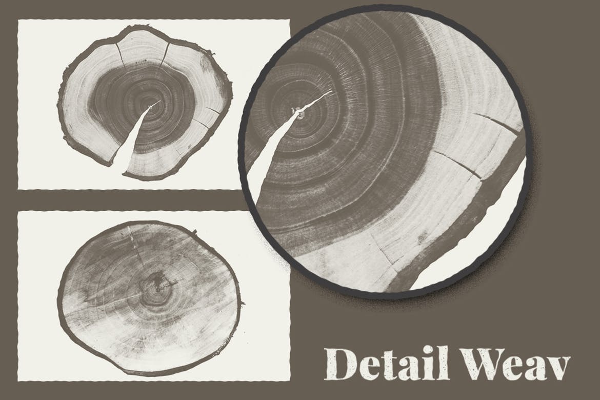 木质年轮纹理背景素材 Wood Texture Pack Background插图(3)