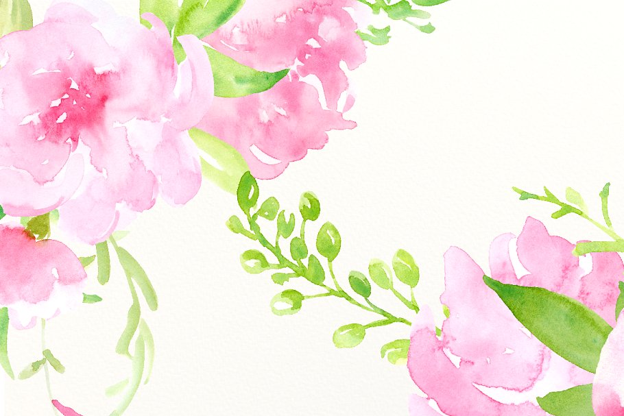 粉色水彩牡丹花卉元素剪贴画 Watercolor Clipart So Pink Flowers插图(3)