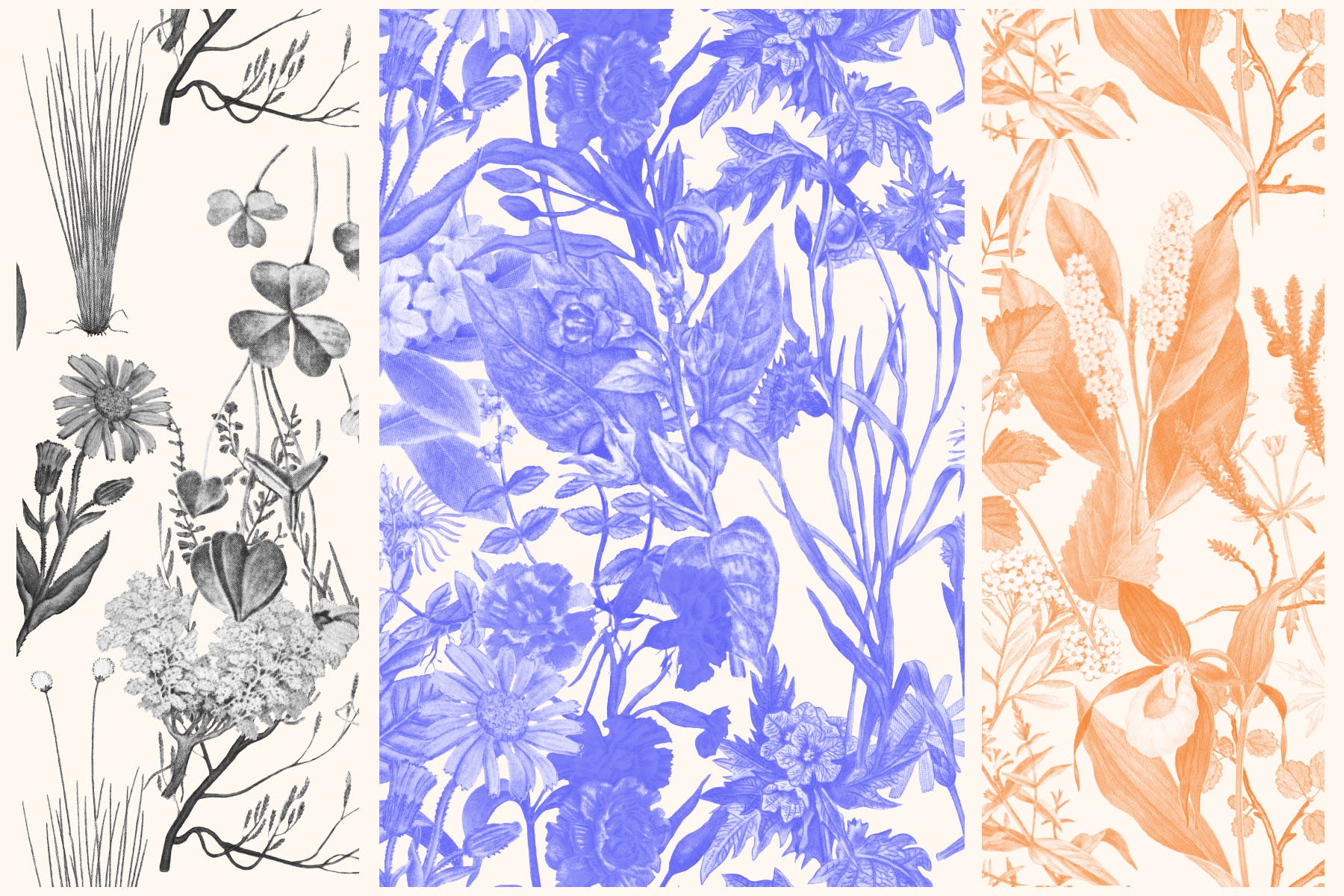 高清复古植物图案背景设计素材 Vintage Botanical Patterns插图(2)