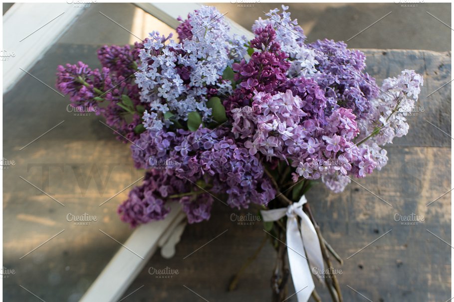 春天丁香花场景样机 Spring Lilac Stock Photos插图(7)