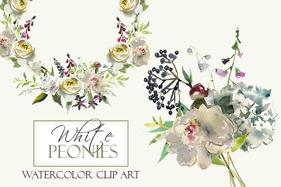 白色水彩花卉剪贴画 Watercolor White Flowers Clipart插图(6)
