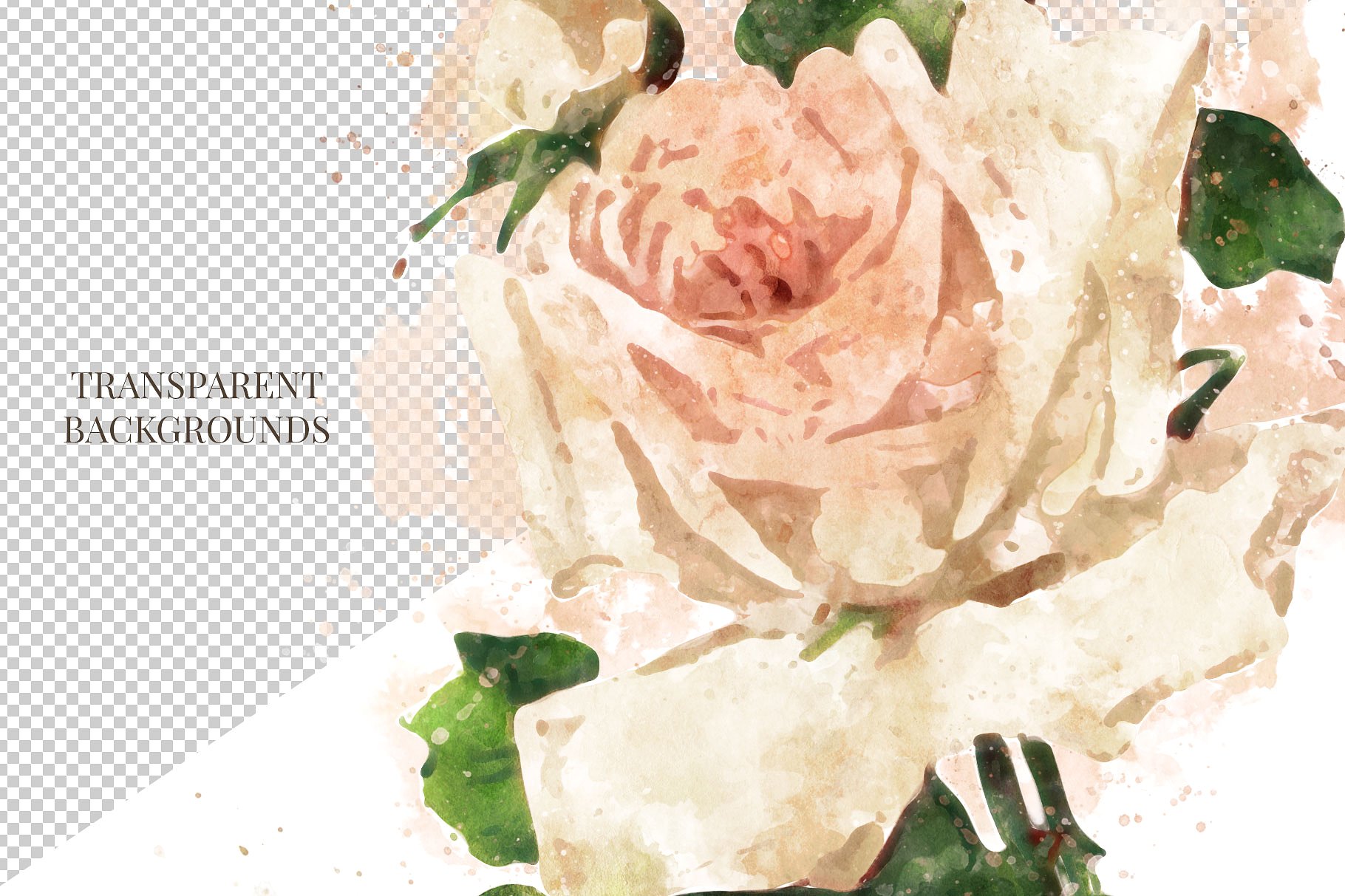 古典风格玫瑰/树叶/装饰字母/花环和花束剪贴画合集 Farmhouse Watercolor Flowers插图(13)