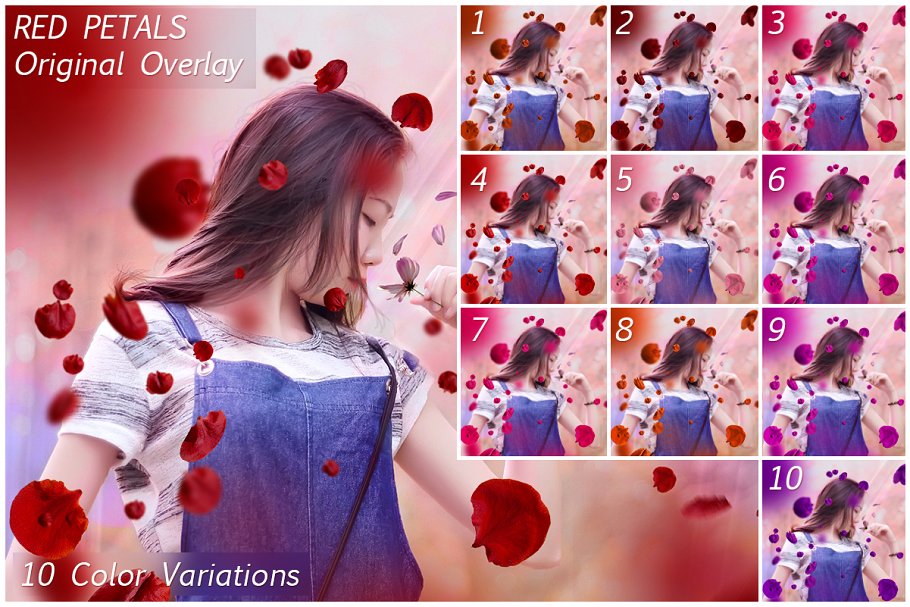5K高清分辨率花瓣叠层覆盖层素材 5K Petals Overlays插图(7)