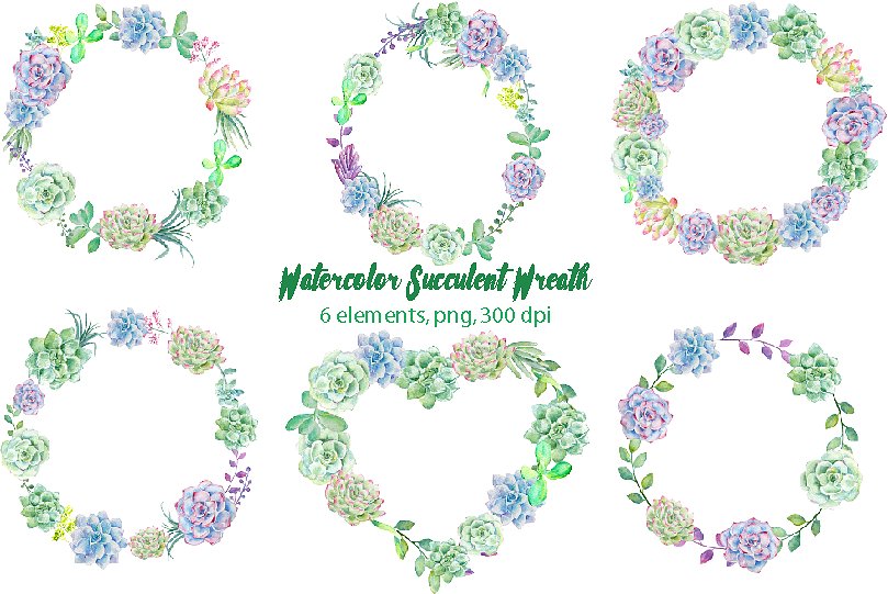 绚烂多彩花环水彩剪切画 Watercolor Succulent Wreaths插图(1)