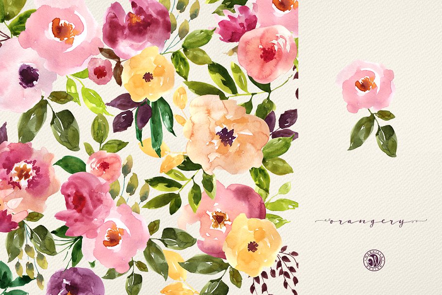 橘园水彩花卉剪贴画 Orangery Watercolor Flowers插图(4)