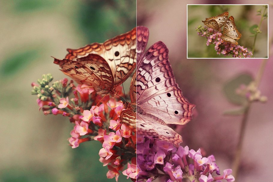 大自然景观照片后期处理PS动作 Nature Photoshop Actions插图(2)