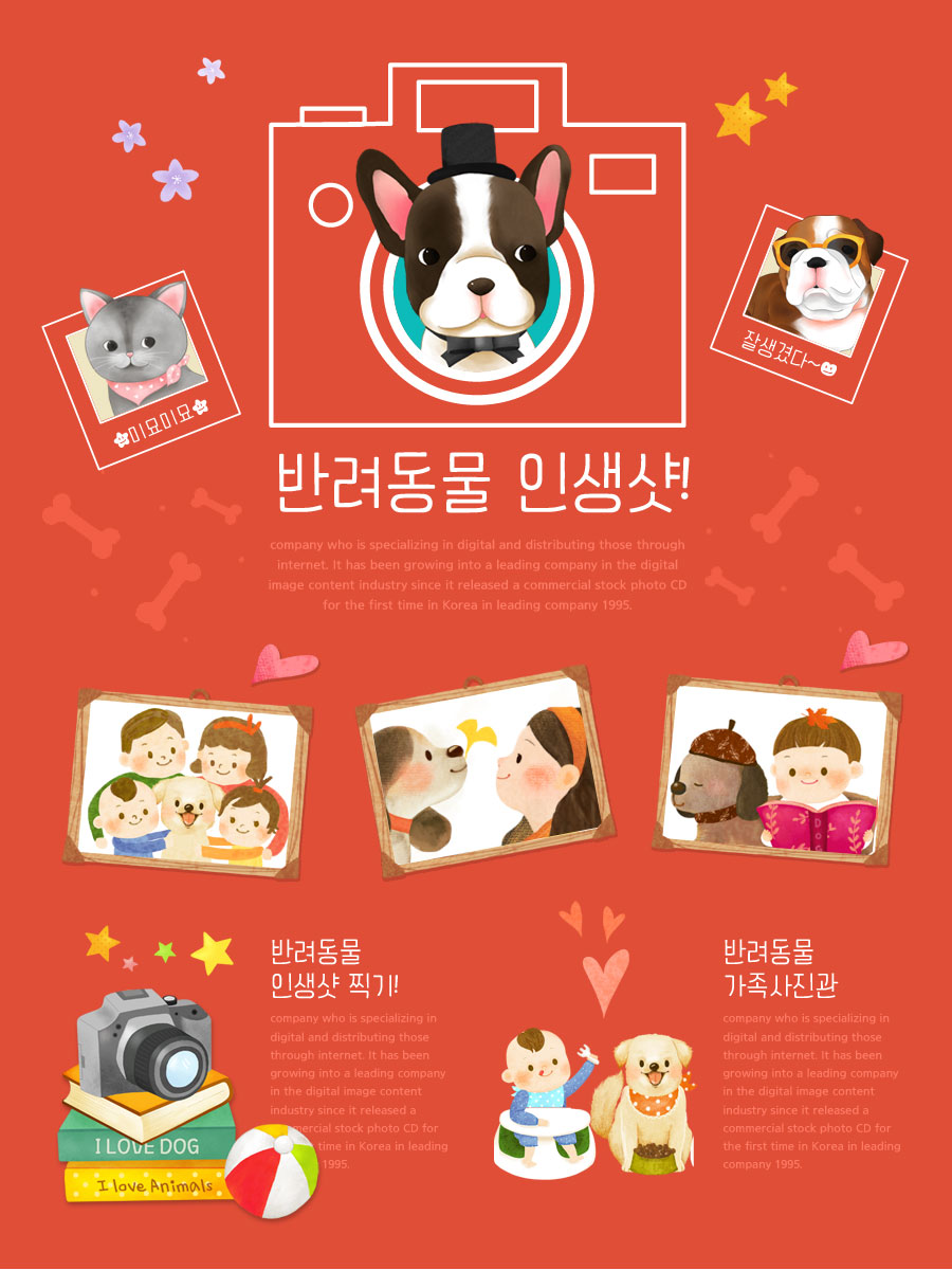 可爱小狗动物照片摄影主题红色海报插图
