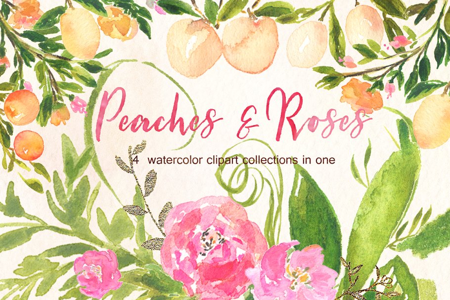 桃色和金色玫瑰水彩剪贴画 Peaches Roses and gold watercolor插图(1)