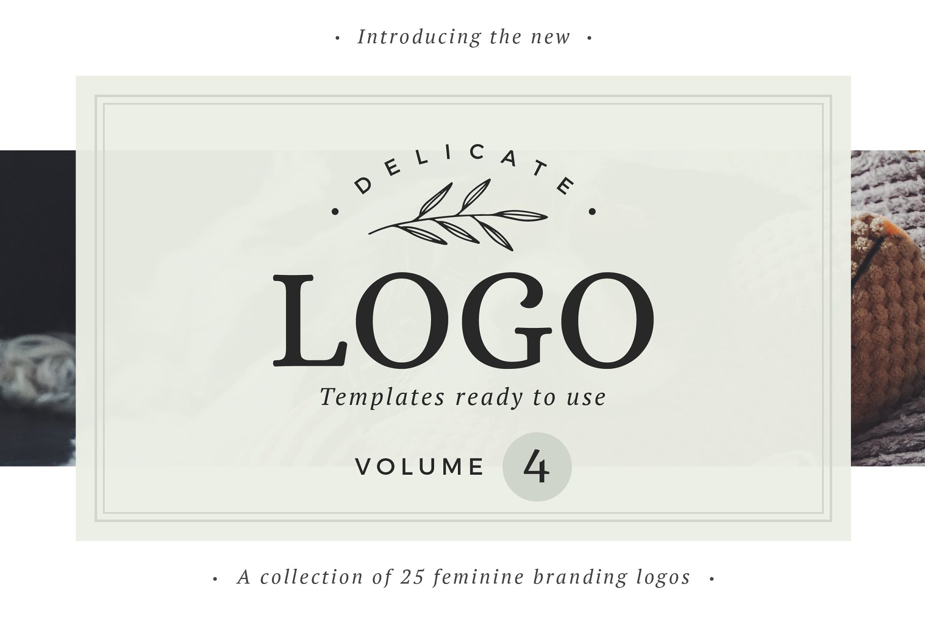 即拿即用优雅风格英文Logo设计模板 Delicate Logos – Volume 04插图