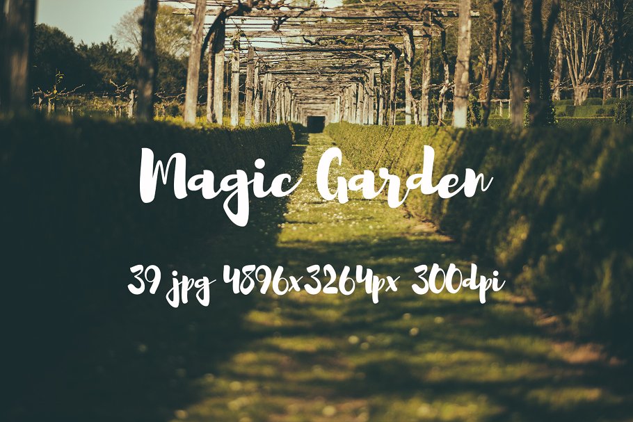 秘密花园花卉植物高清照片素材 Magic Garden photo pack插图(13)