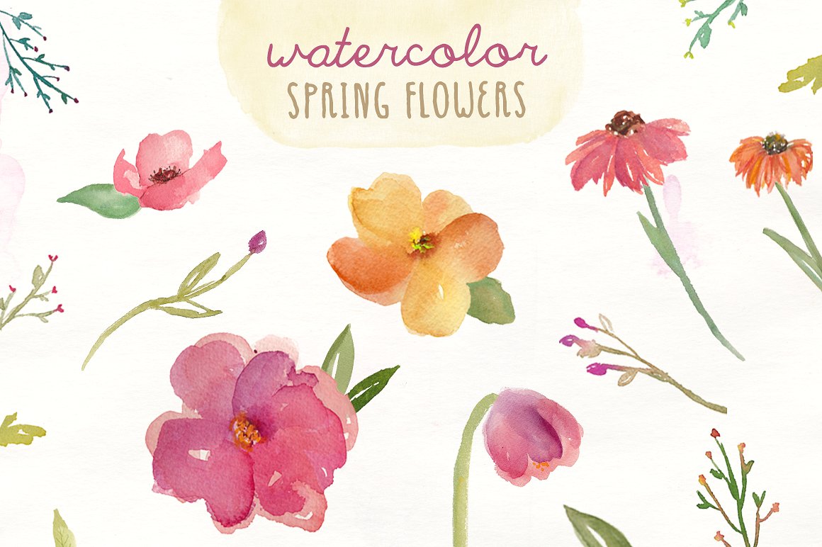 浪漫春季水彩花卉剪贴画 Watercolor Spring Flowers插图