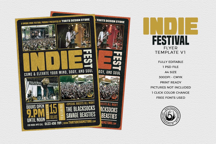 独立音乐节派对宣传单PSD模板V1 Indie Fest Flyer PSD V1插图