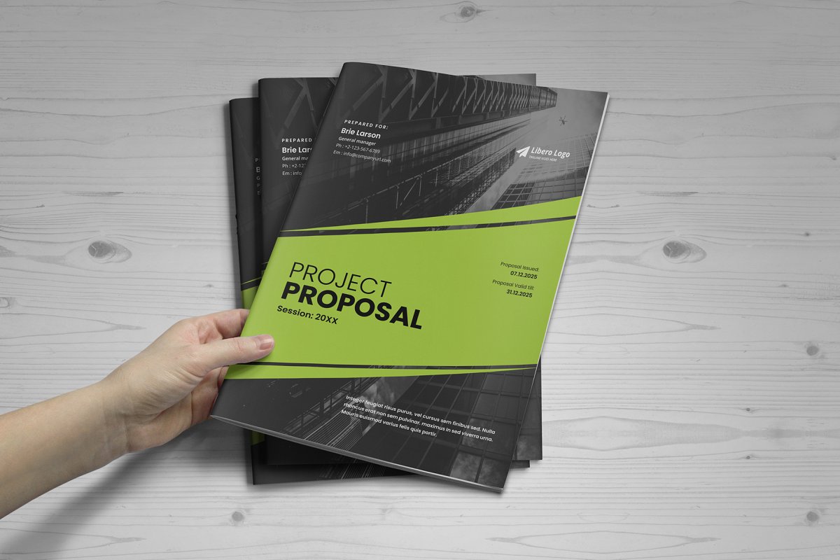 商业项目业务提案手册设计模板插图(4)