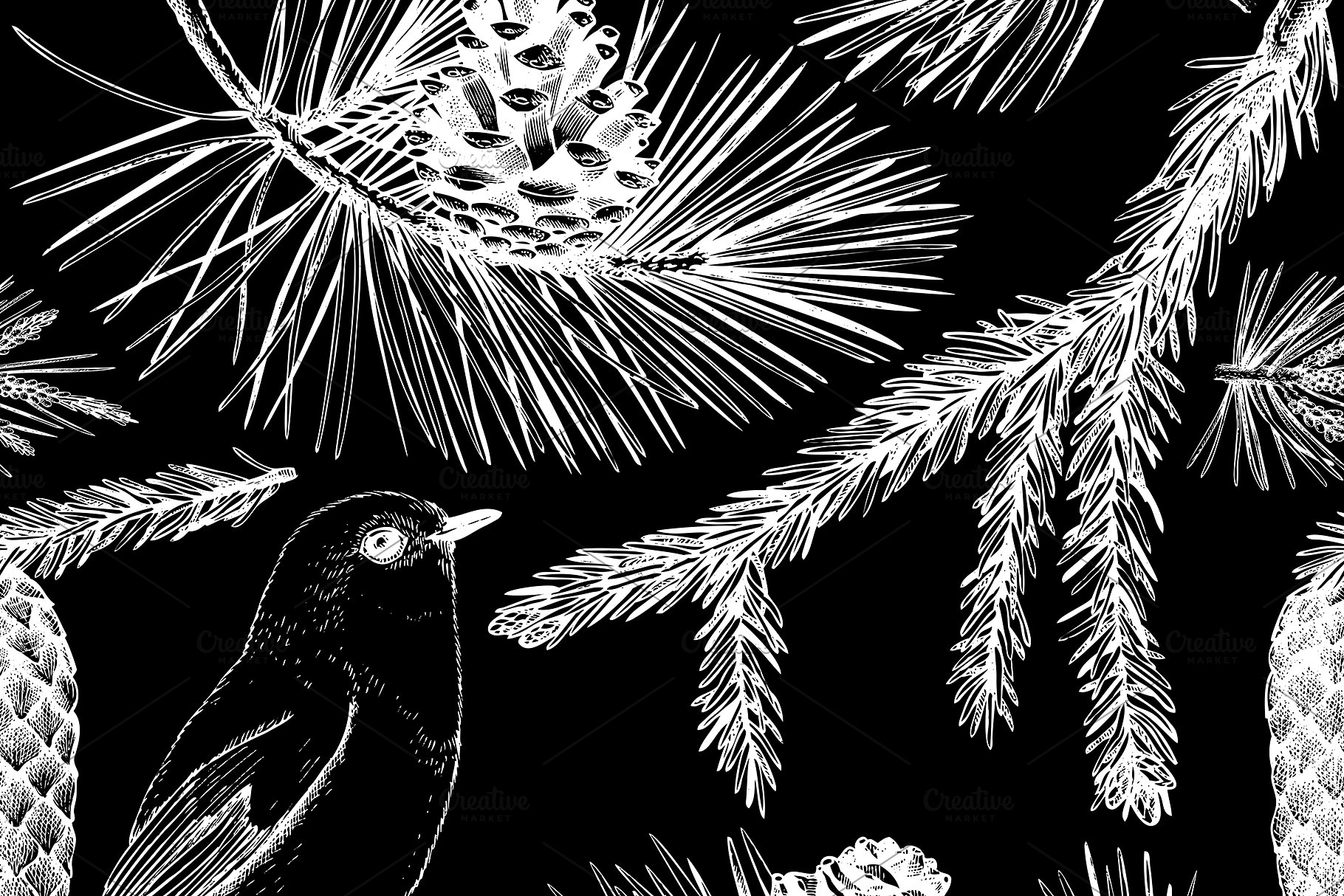 手绘黑白风针叶树木插画 Conifers Trees Set in Black插图(7)