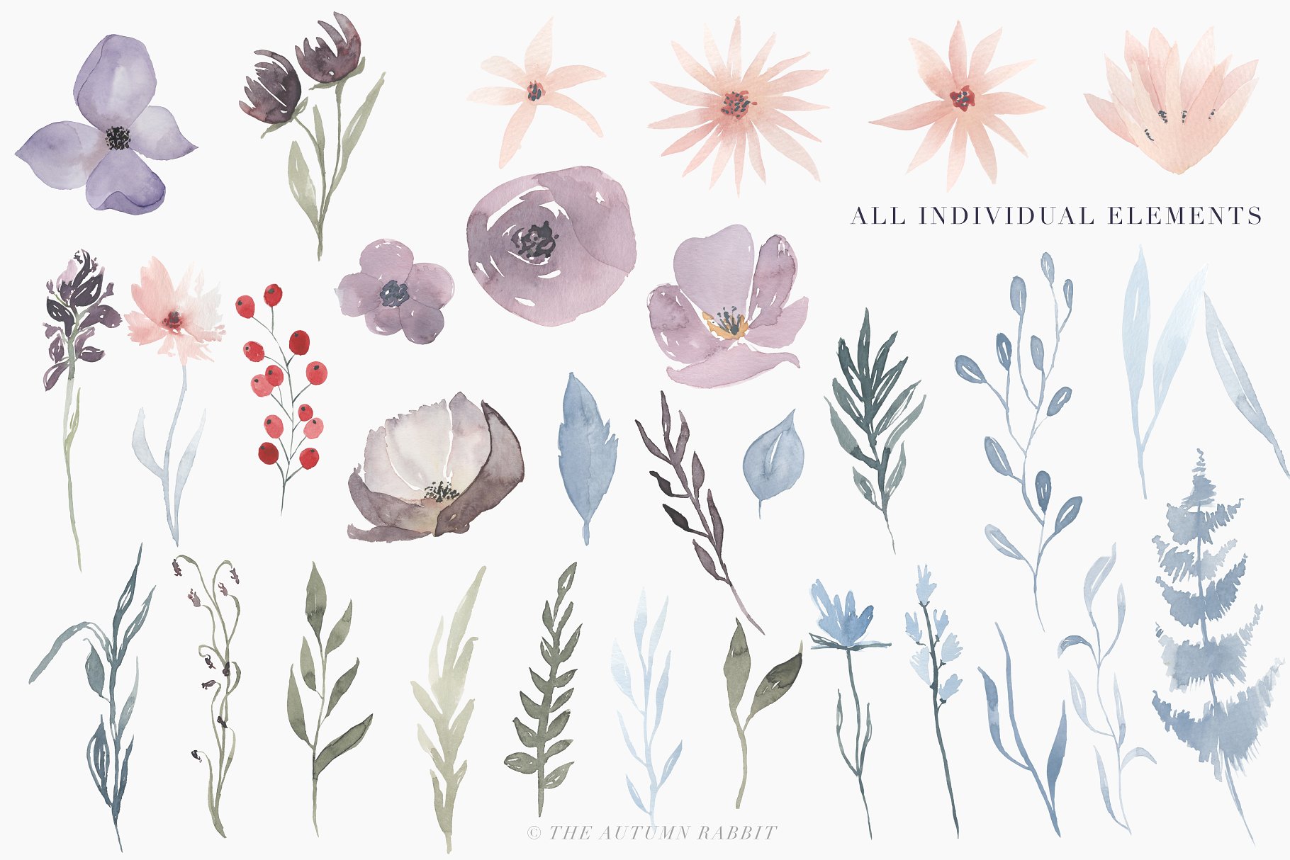 手绘水彩水粉花卉剪贴画 Watercolor Floral Clipart – Hazy插图(2)