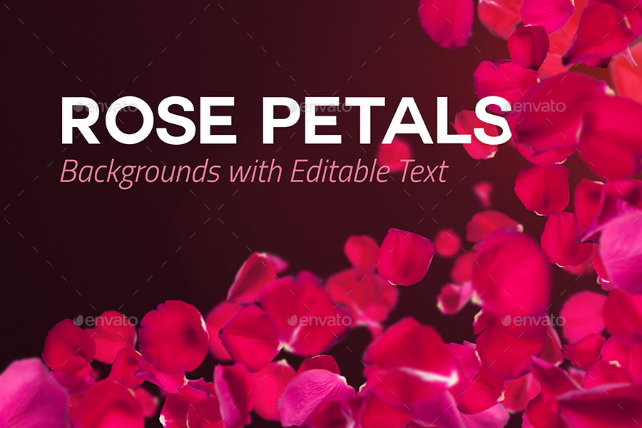 可编辑文本玫瑰花瓣背景素材 4 Rose Petals Backgrounds with Editable Text插图