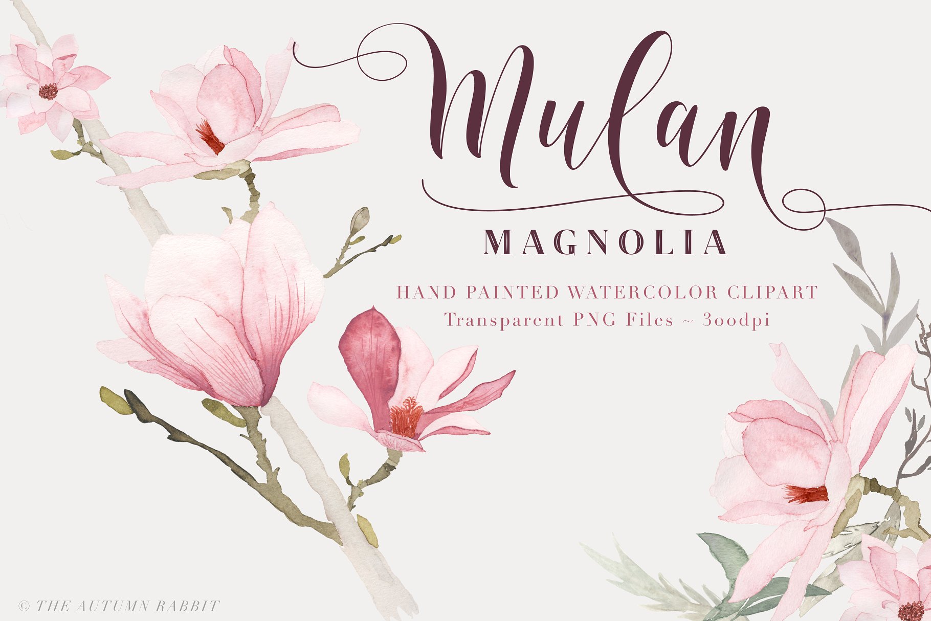 水彩玉兰花剪切画素材 Watercolor Magnolia Floral Clipart插图