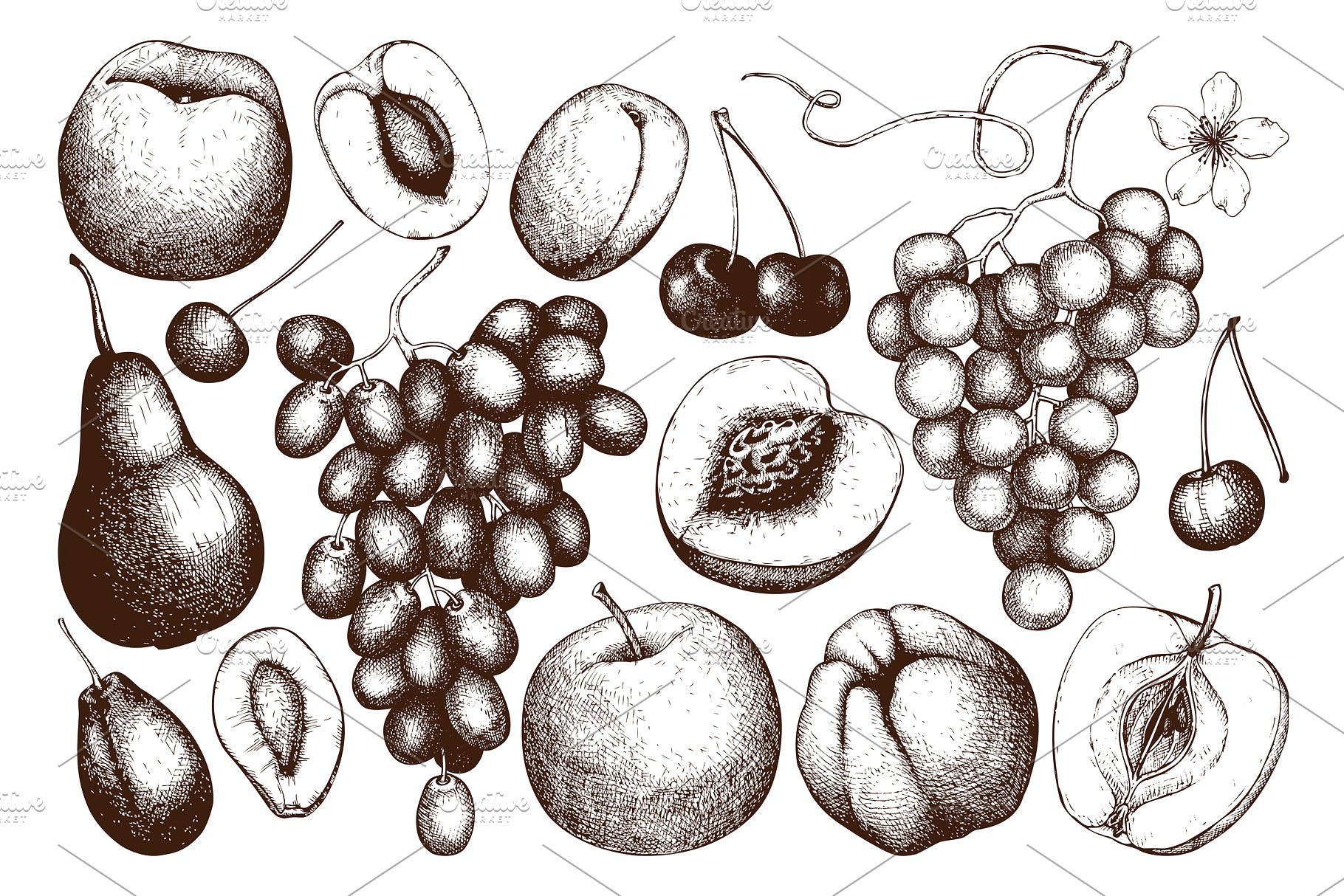 成熟水果矢量插图 Vector Ripe Fruits Illustrations插图(2)