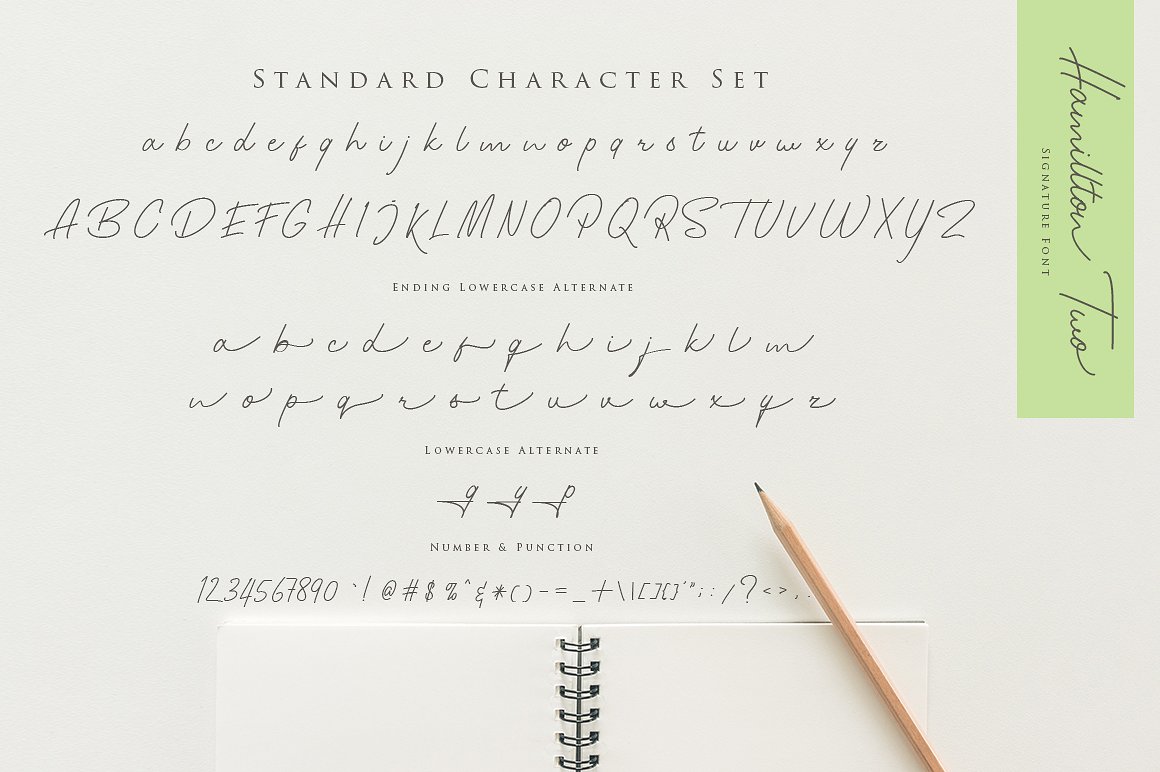 优雅设计风格英文钢笔签名字体 Hamillton Signature Script Typeface插图(4)