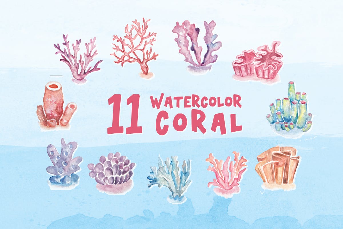 海洋珊瑚水彩元素插画合集 11 Watercolor Coral Illustration Graphics插图