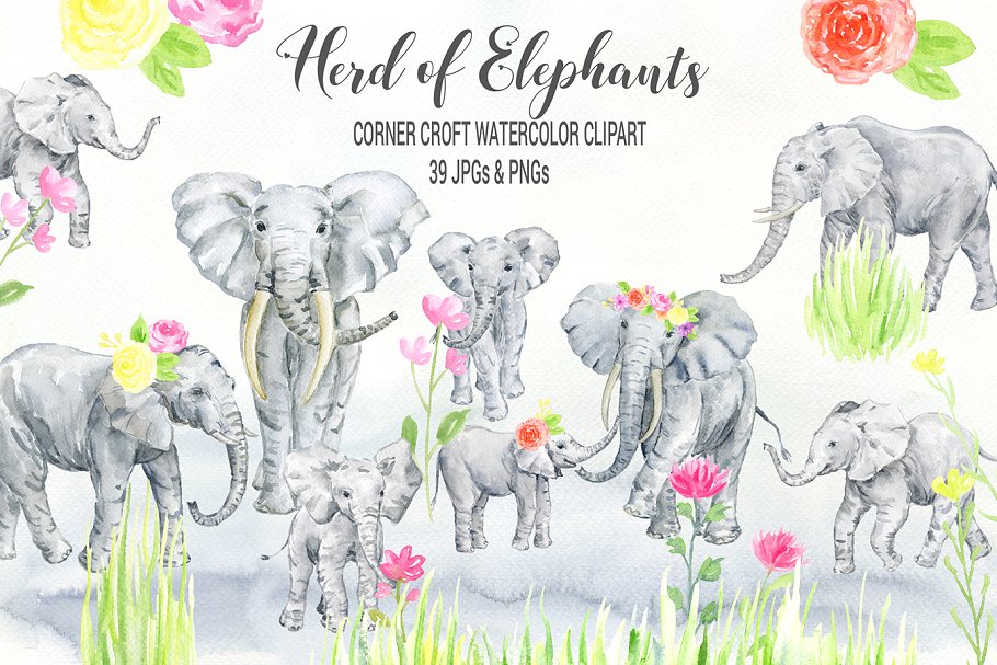 手绘灰白色大象插图 Watercolor Herd of Elephants插图