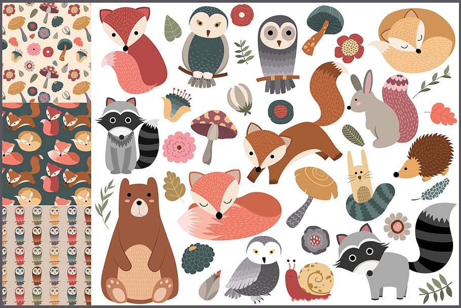 45款林地动植物手绘图案设计元素 45 Woodland Designs & Patterns插图
