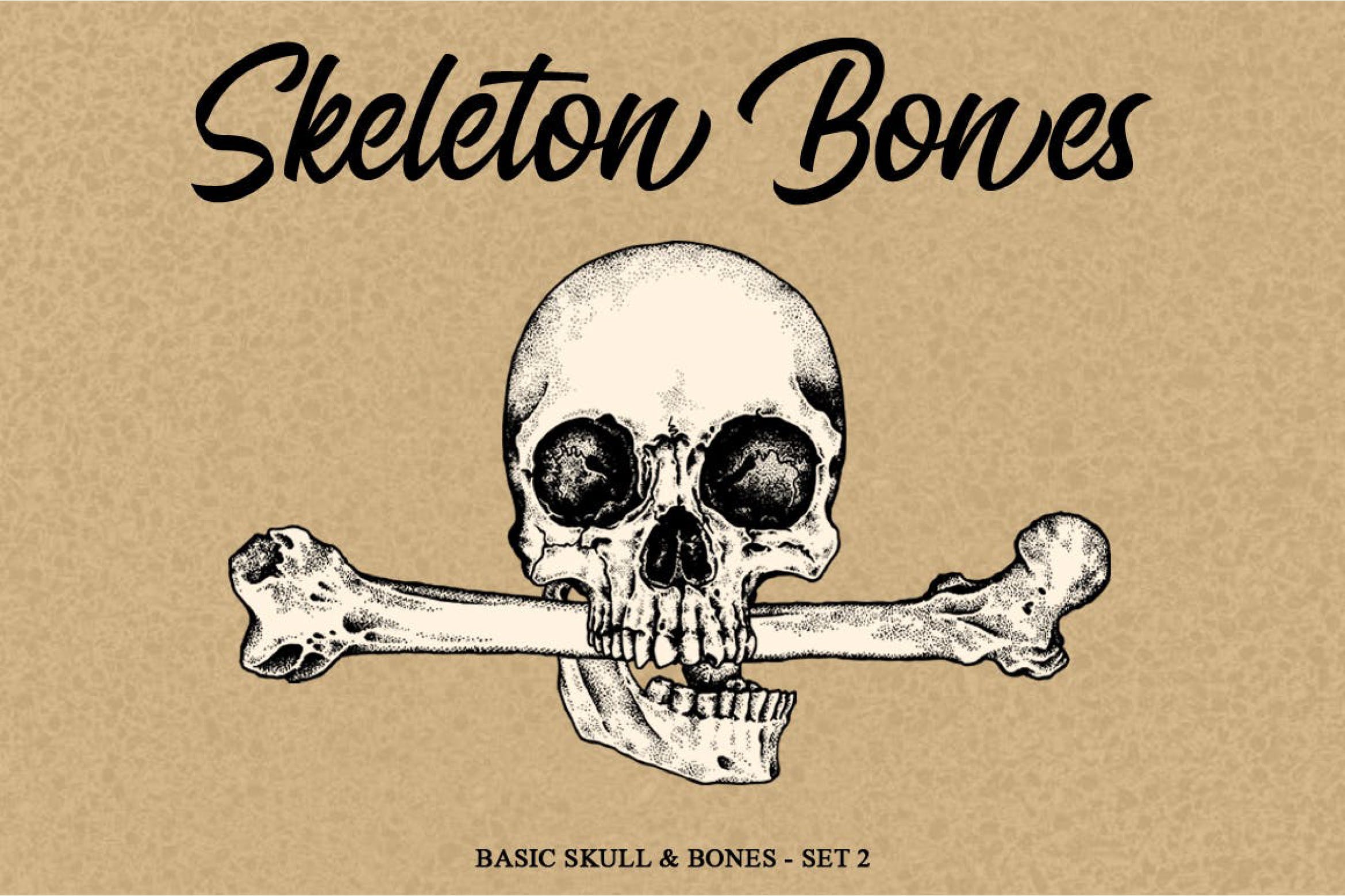 骷髅骨头手绘矢量插画套装v2 Skeleton Handrawn set 2插图