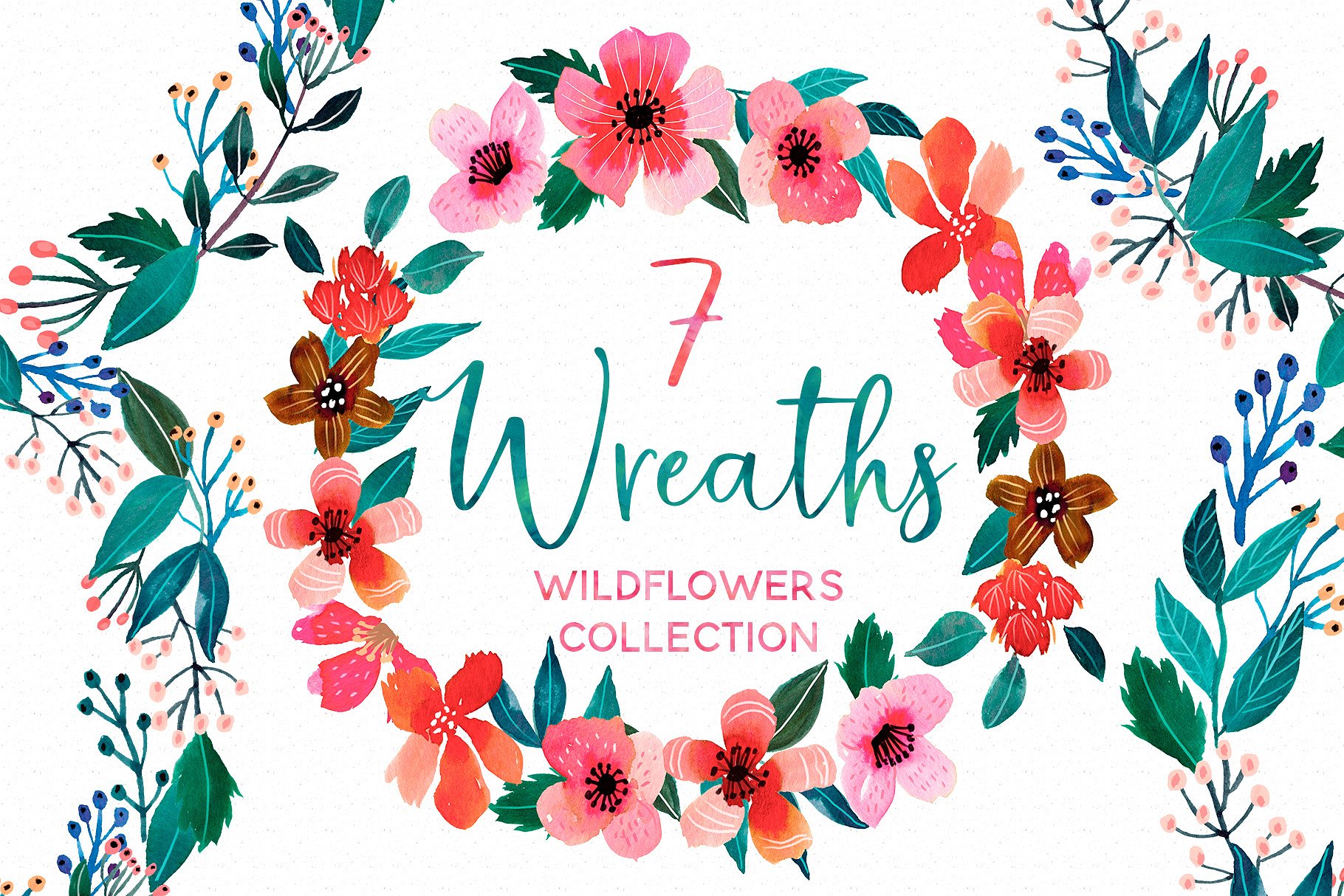 艳丽野花水彩插画集 Wildflowers Watercolor Collection插图(4)