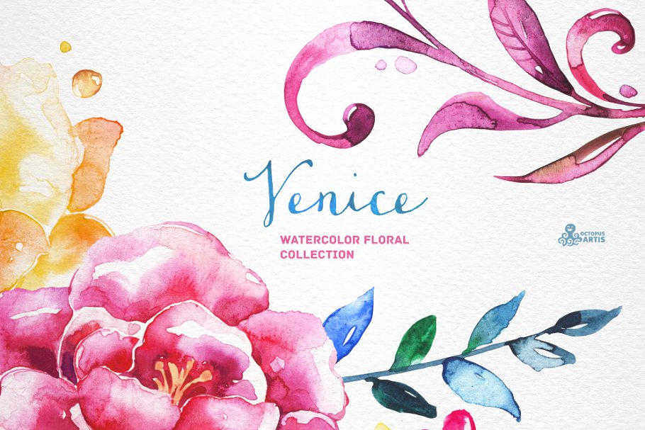 威尼斯水彩花卉设计素材收藏 Venice. Watercolor floral collection插图(2)