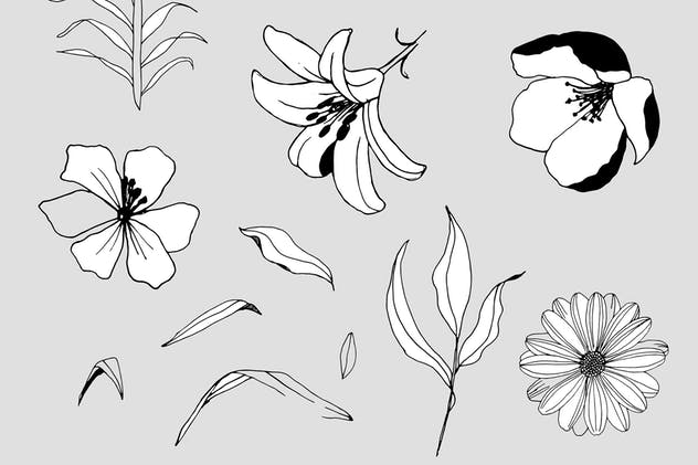 创意手绘花卉插画图案纹理素材 Graphic Flowers Patterns & Elements插图(13)