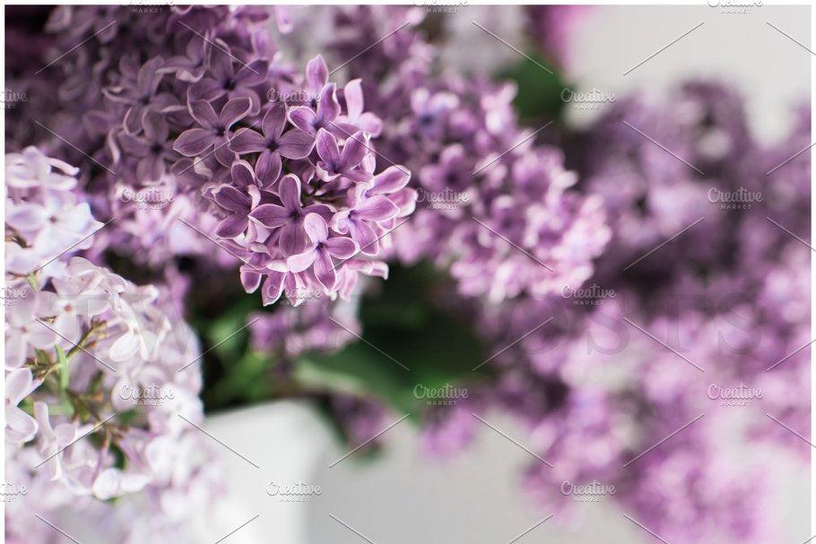 春天丁香花场景样机 Spring Lilac Stock Photos插图(5)
