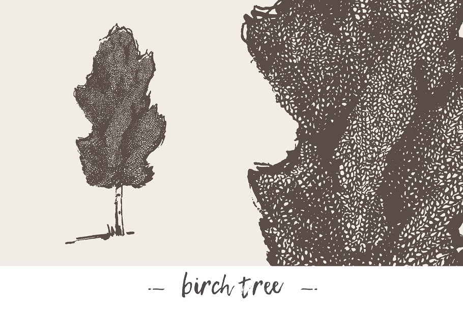 各种树木手绘矢量图形合集 Big collection of high detail trees插图(4)
