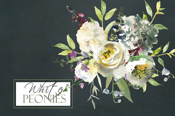 白色水彩花卉剪贴画 Watercolor White Flowers Clipart插图(5)