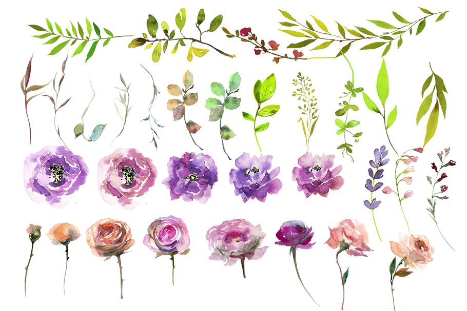 春季花开水彩花卉插画 Spring Blossom Watercolor Flowers插图(1)