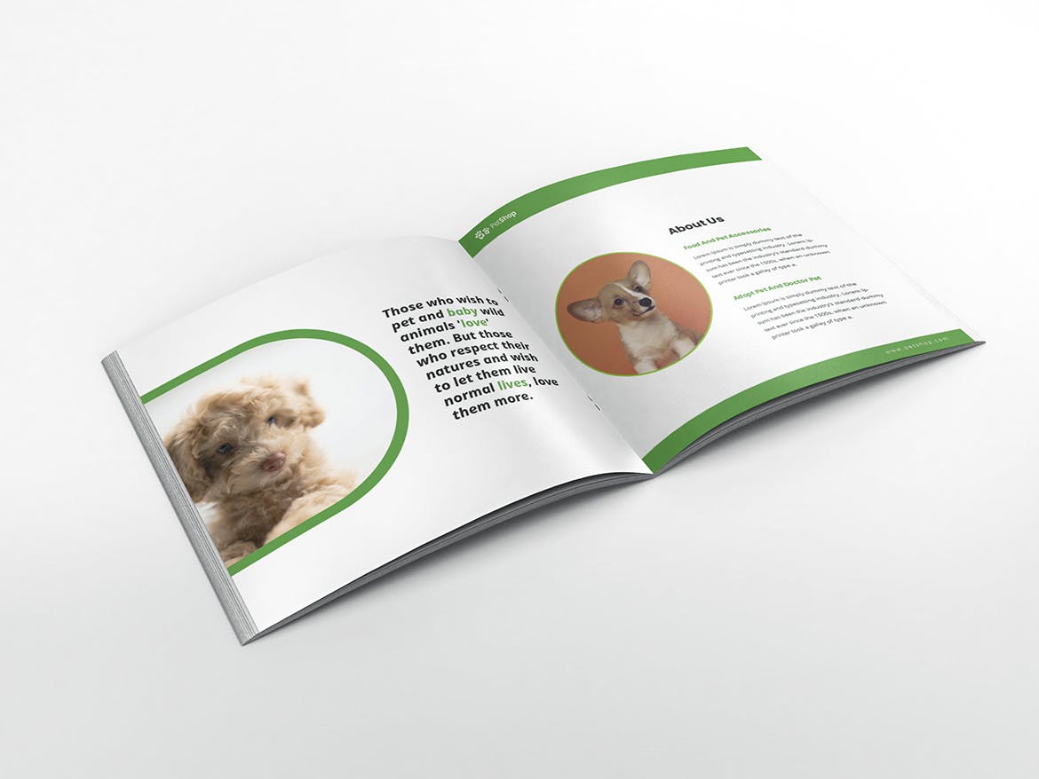 宠物店/宠物医院方形宣传册设计模板 Pet Shop Square Brochure Template插图(2)