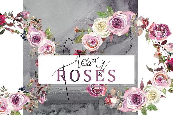 霜白玫瑰花水彩画设计素材 Frosty Roses Watercolor Flowers Set插图(11)