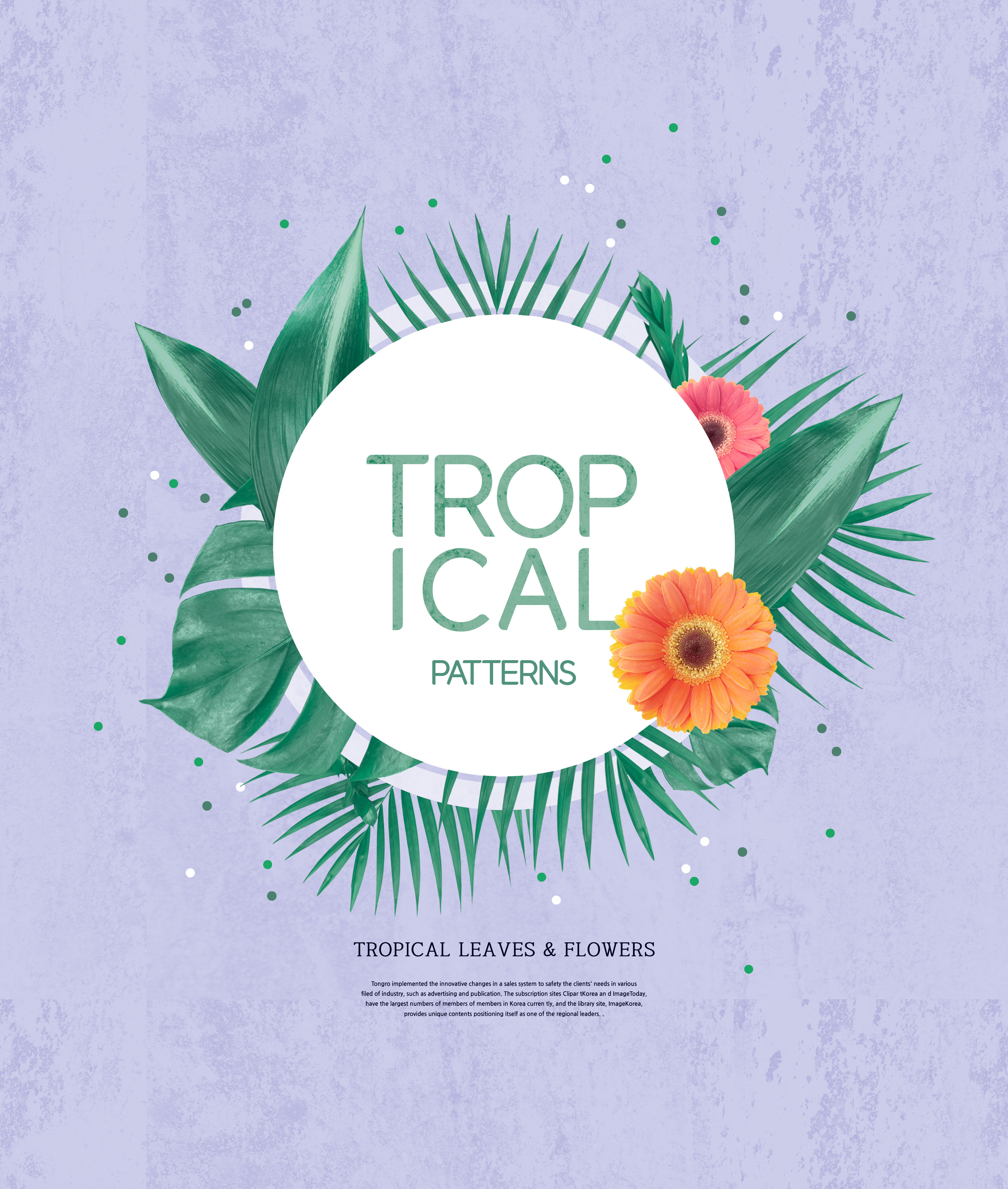 热带植物叶子&花卉图案海报设计素材插图(4)