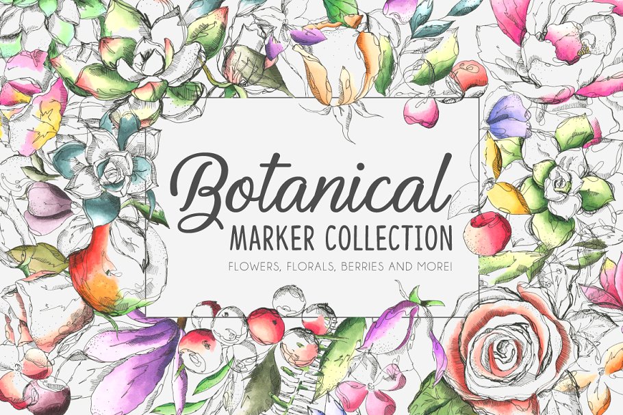 各种植物花卉水彩剪贴画合集 Botanical Marker Collection Pro插图
