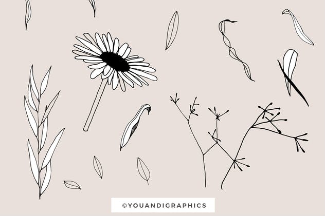创意手绘花卉插画图案纹理素材 Graphic Flowers Patterns & Elements插图(14)