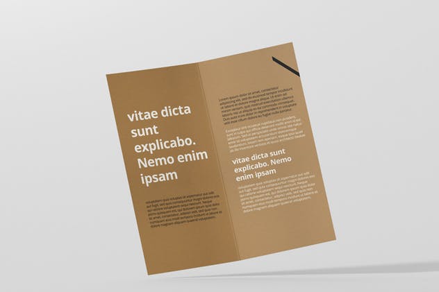 对折折页宣传小册样机 DL Bi-Fold Brochure Mock-Up插图(10)