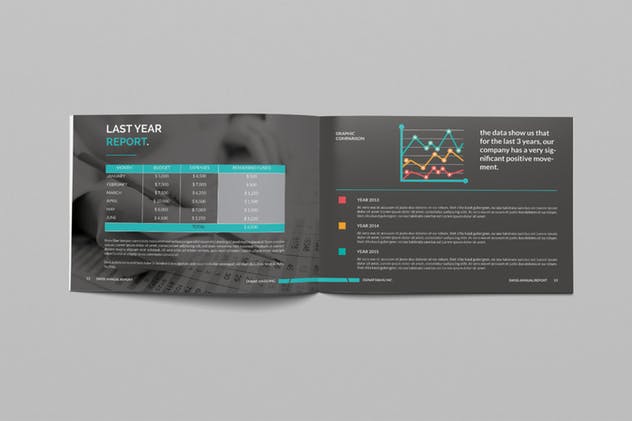 部门/企业/行业年终报告画册设计模板 Annual Report插图(6)