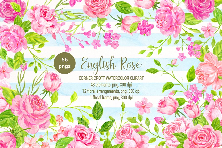 美丽浪漫的英国传统玫瑰剪贴画合集 Watercolor English Rose Clipart插图